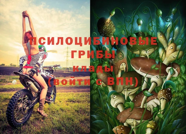 Альфа ПВП Аркадак