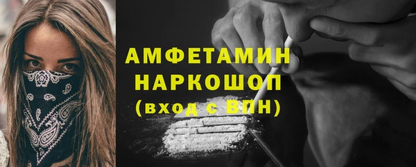 ешки Алексин