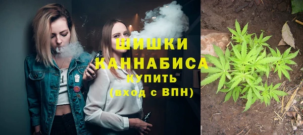 PSILOCYBIN Армянск