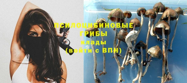 герыч Алексеевка