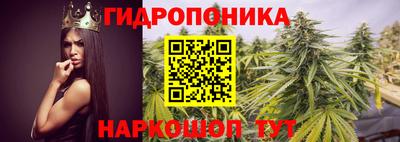 a pvp Абакан