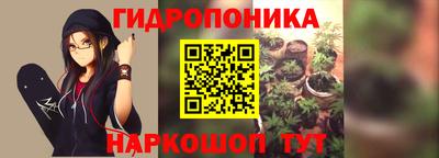 a pvp Абакан