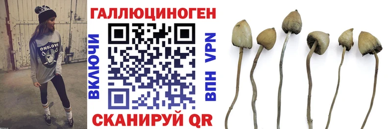 дарнет шоп  Асбест  Псилоцибиновые грибы ЛСД 
