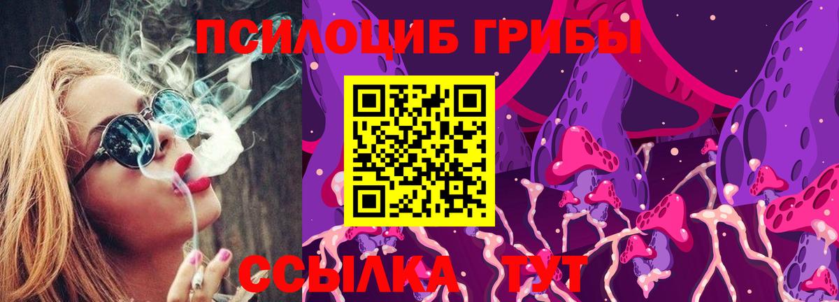 Псилоцибиновые грибы GOLDEN TEACHER Асбест